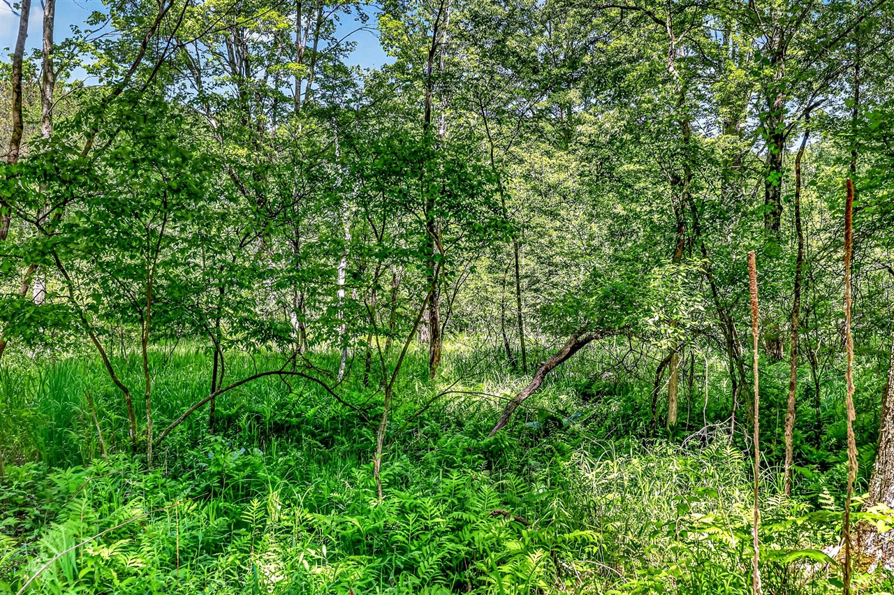 3821 W Baseline Road Property Photo 45