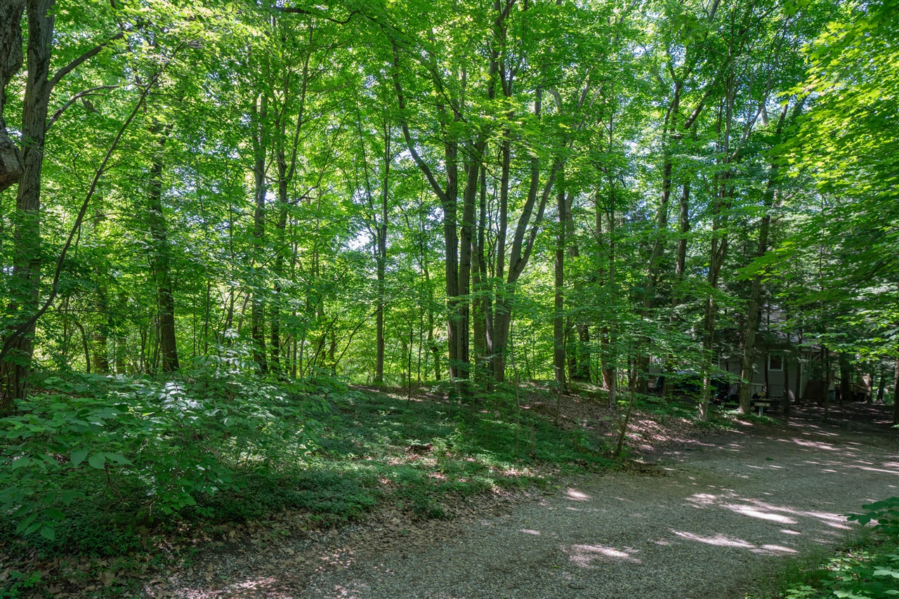 Vl Ramblewood Circle Property Photo 6