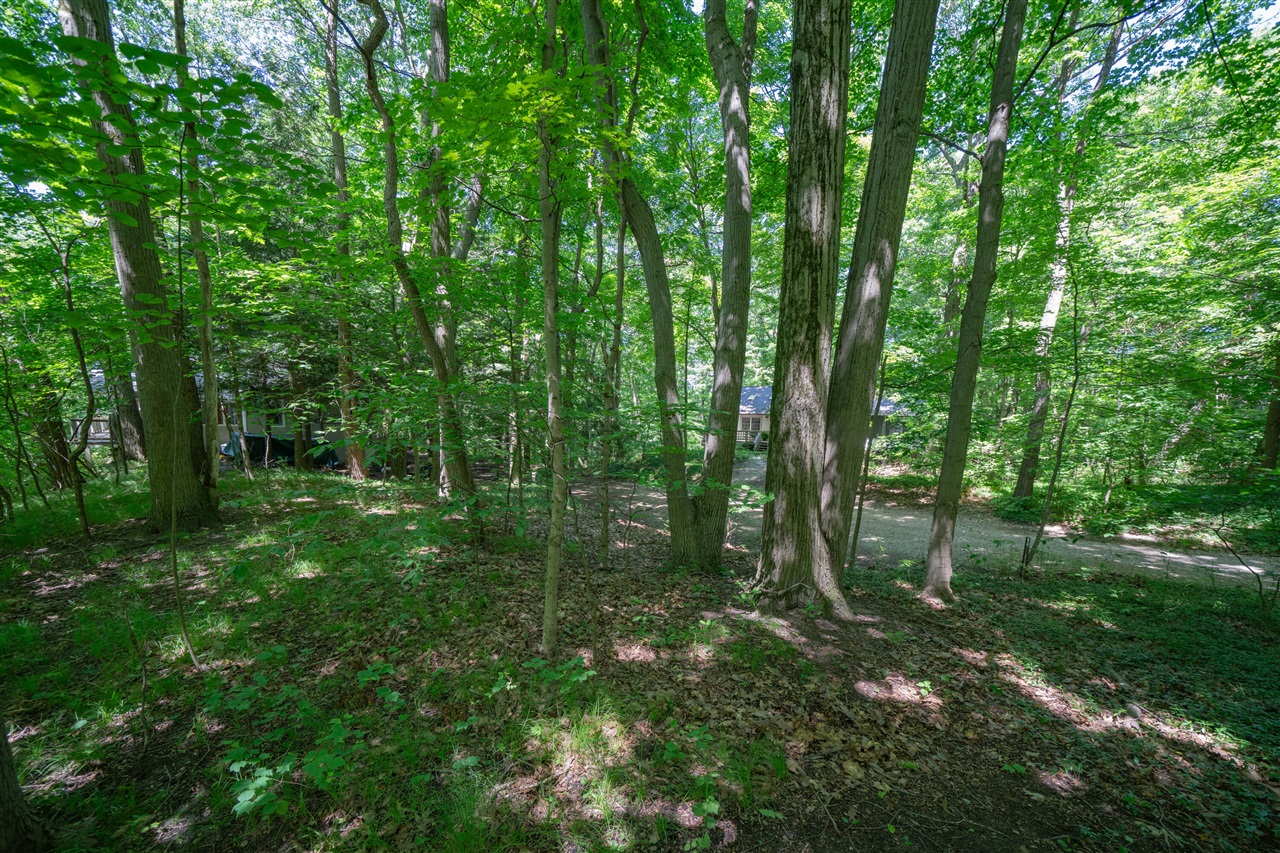 Vl Ramblewood Circle Property Photo 7