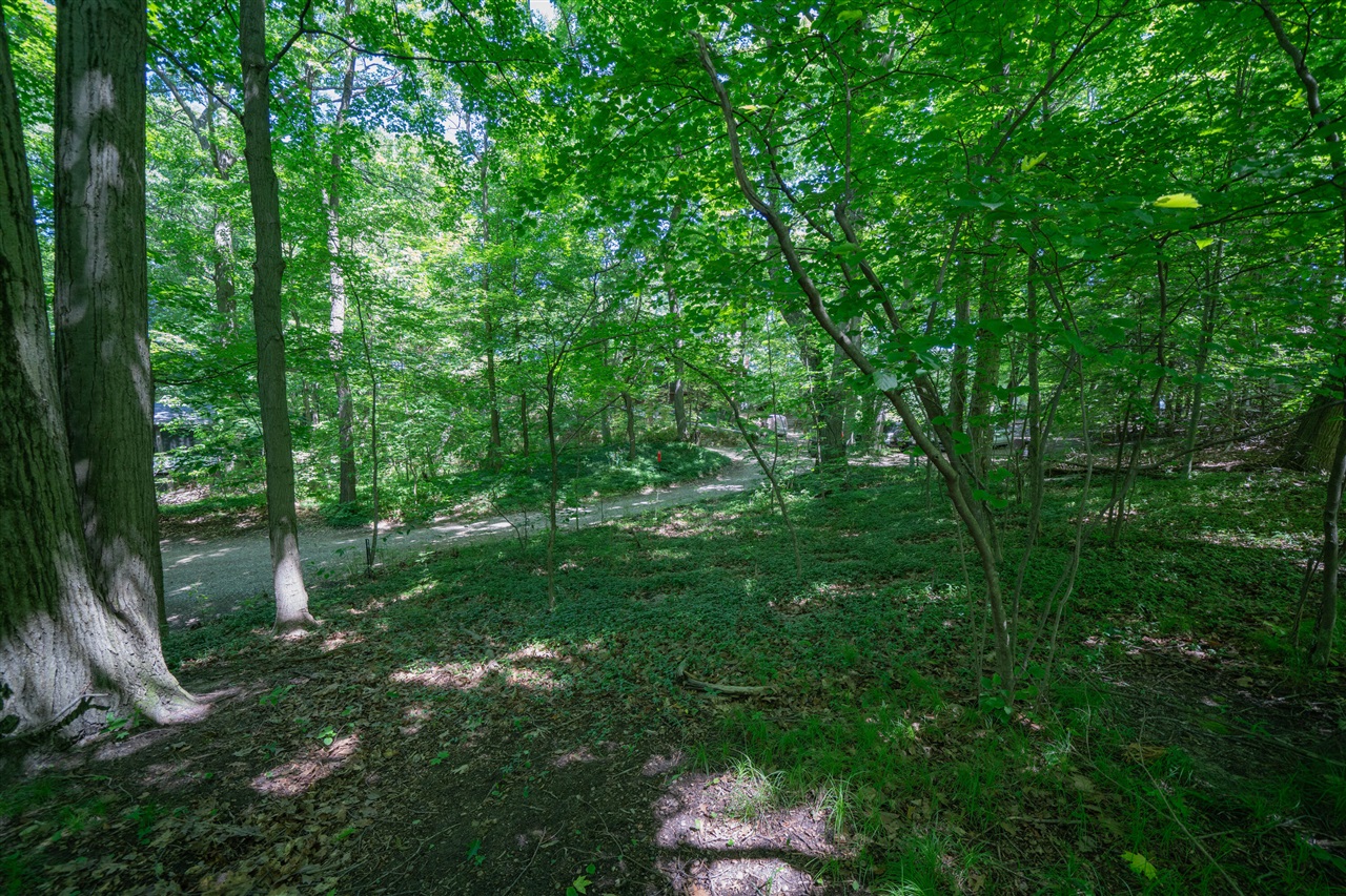 Vl Ramblewood Circle Property Photo 8