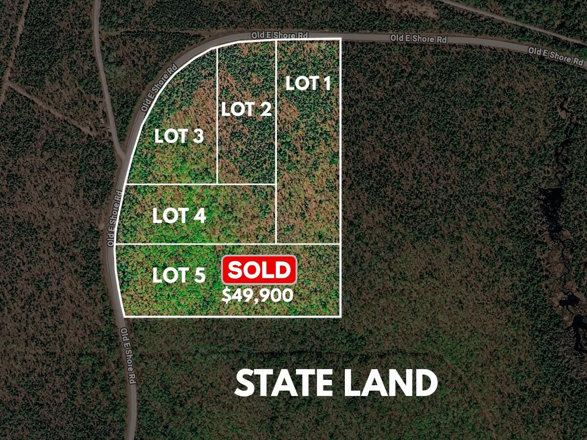 Lot 1 E Shore Road Property Photo 1