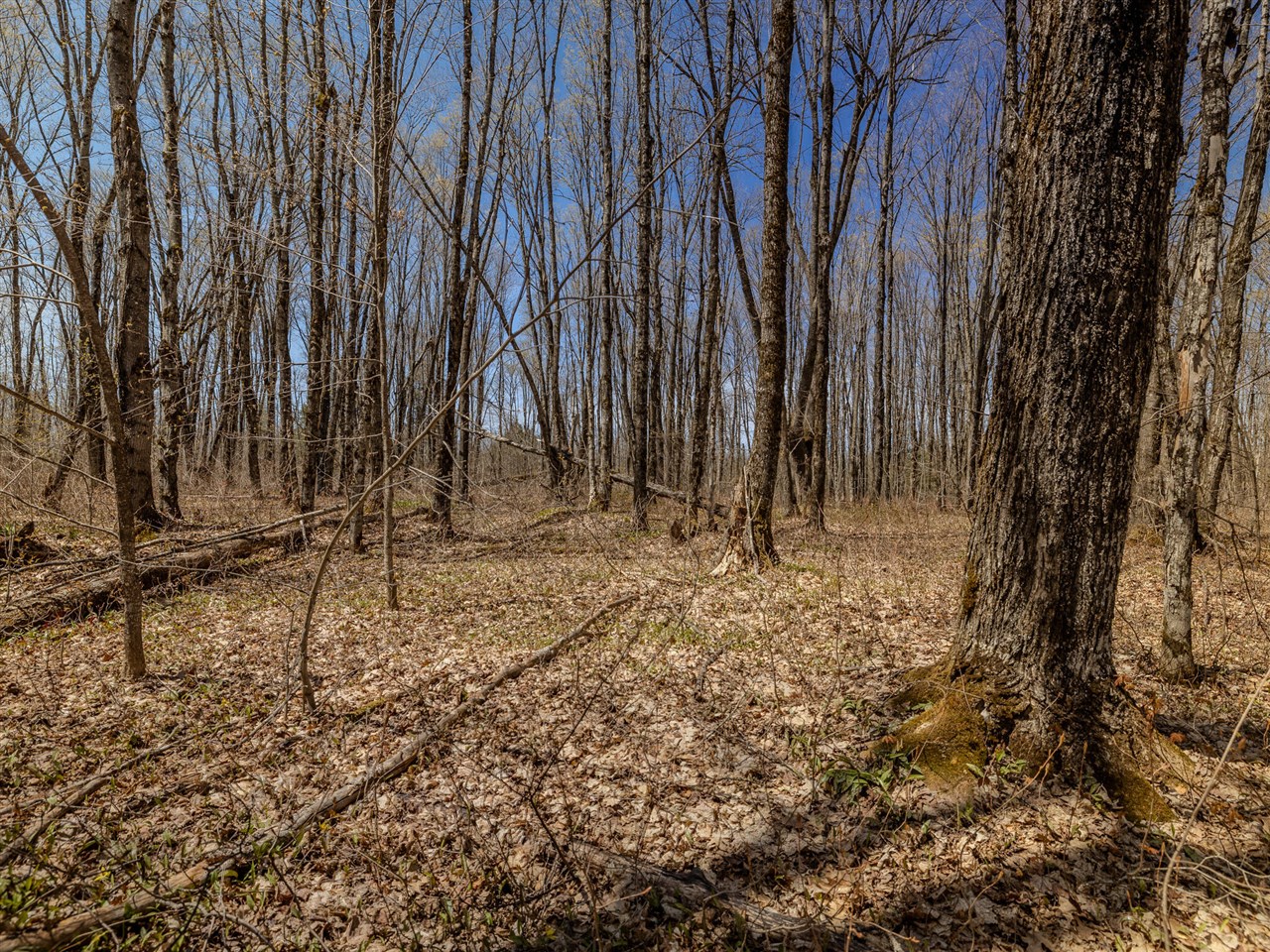 Lot 3 E Shore Road Property Photo 11