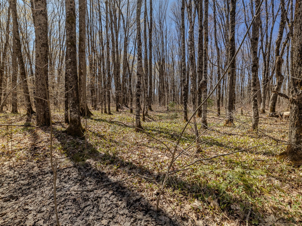 Lot 3 E Shore Road Property Photo 16