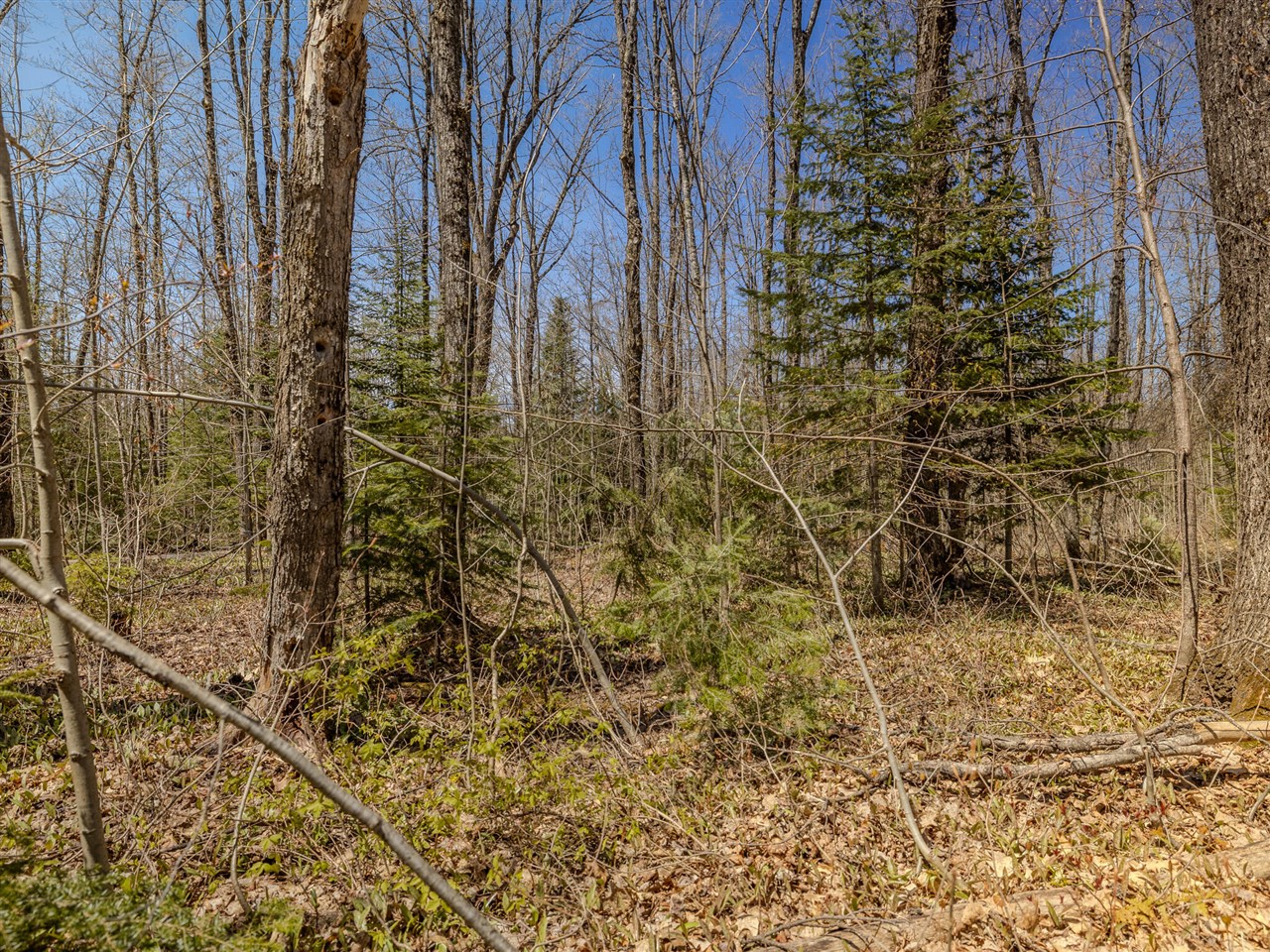 Lot 3 E Shore Road Property Photo 20