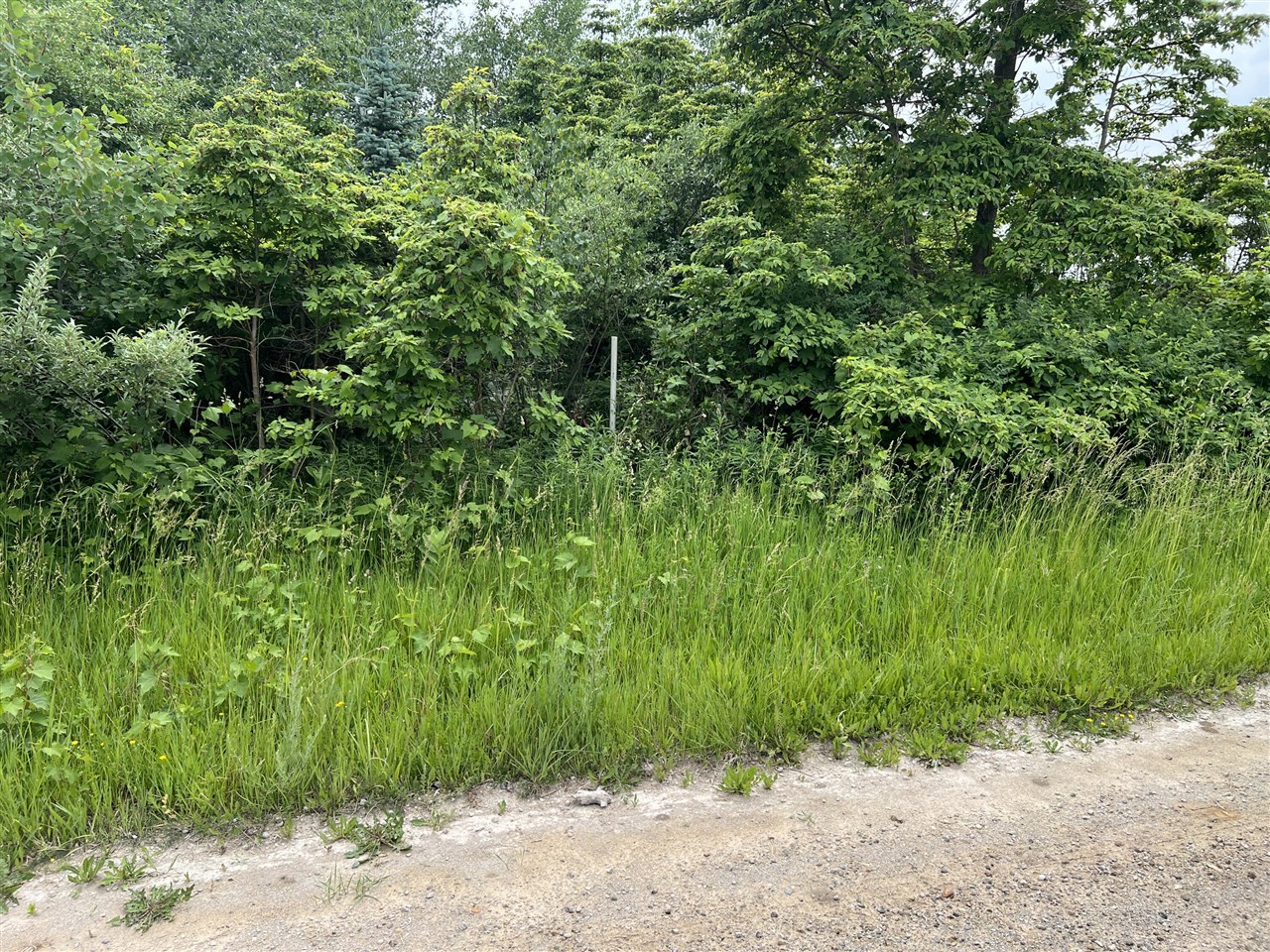Vl Pierce Street Property Photo 15