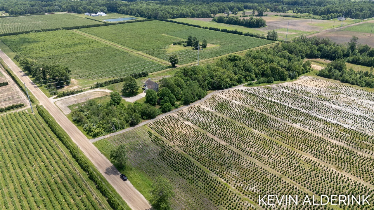 Vl Pierce Street Property Photo 25