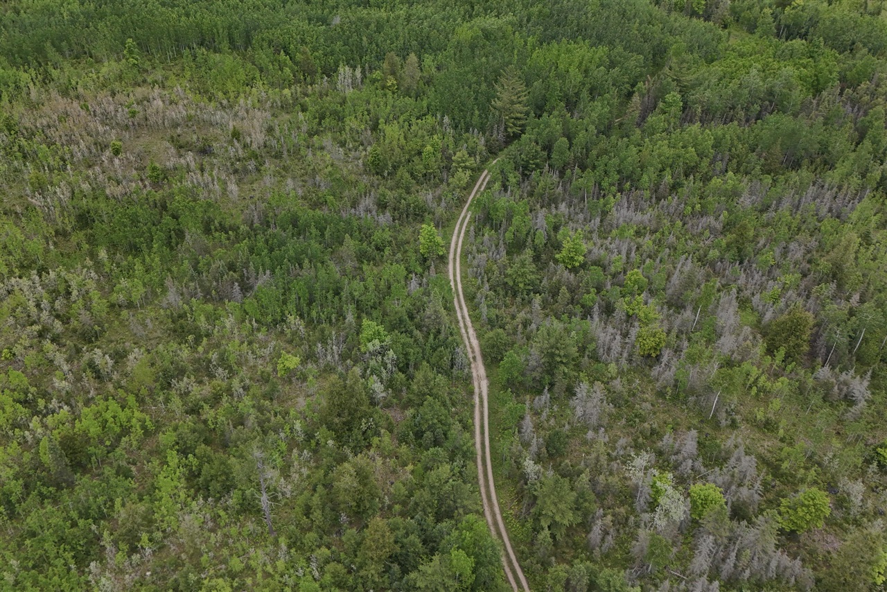 E Woods Road