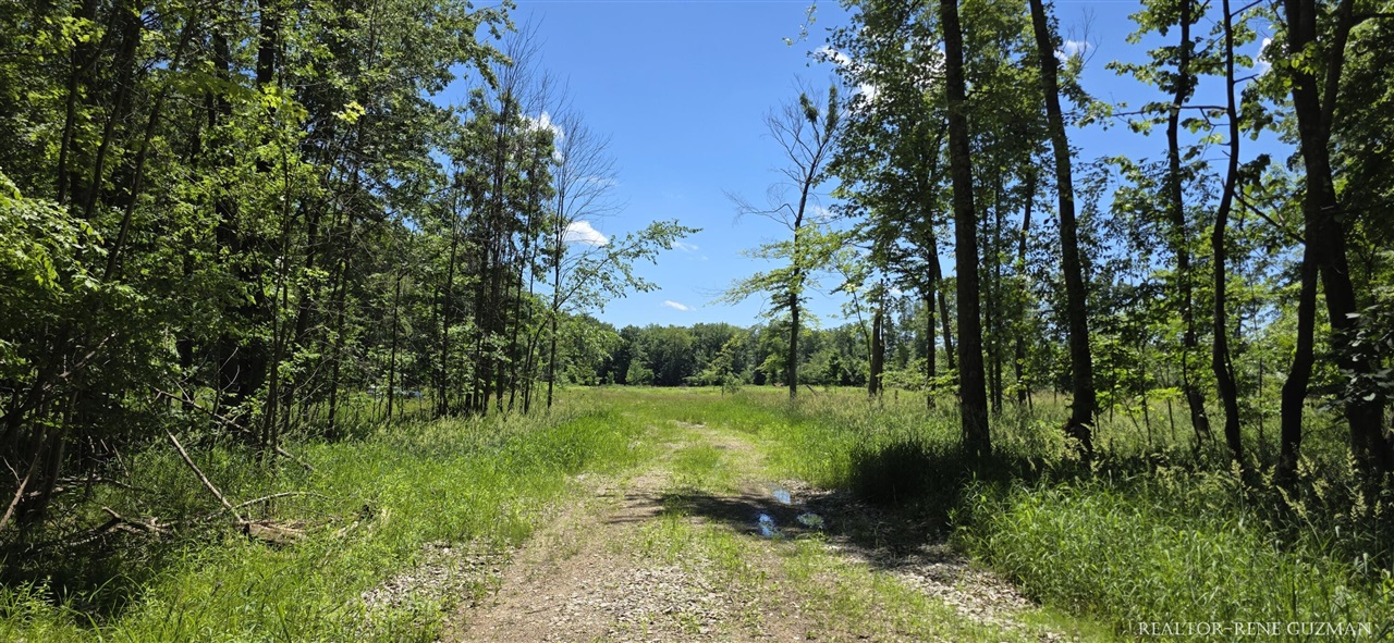 8250 14 Mile Road Property Photo 1