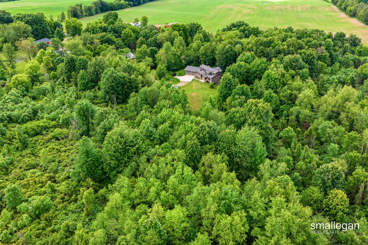 10156 Love Road Property Photo 86