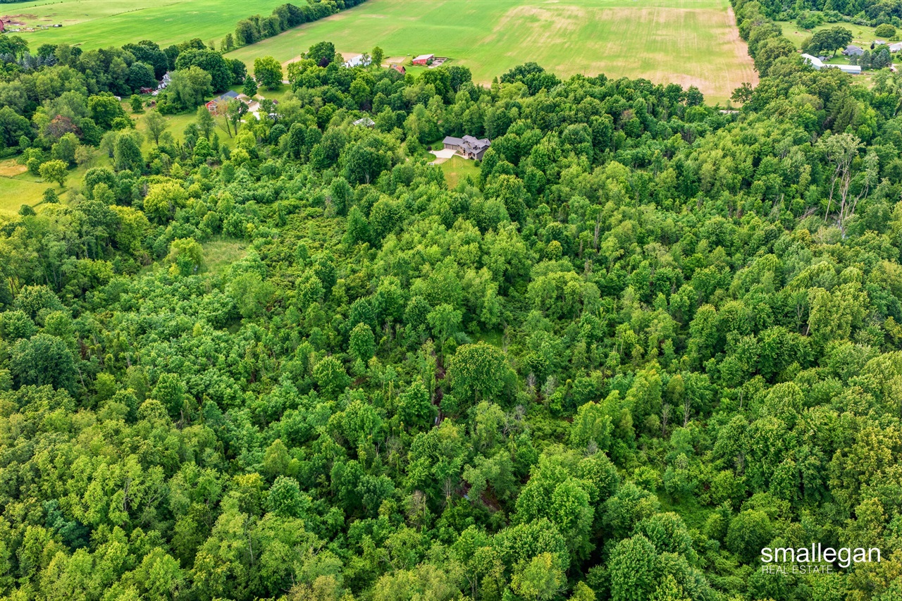 10156 Love Road Property Photo 87