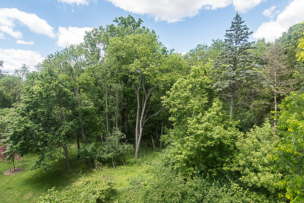 4040 Greenleaf Circle Property Photo 19