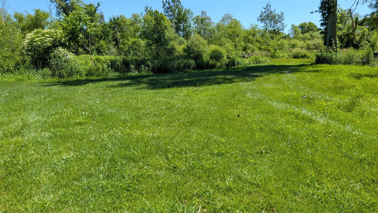 113th Avenue Property Photo 2