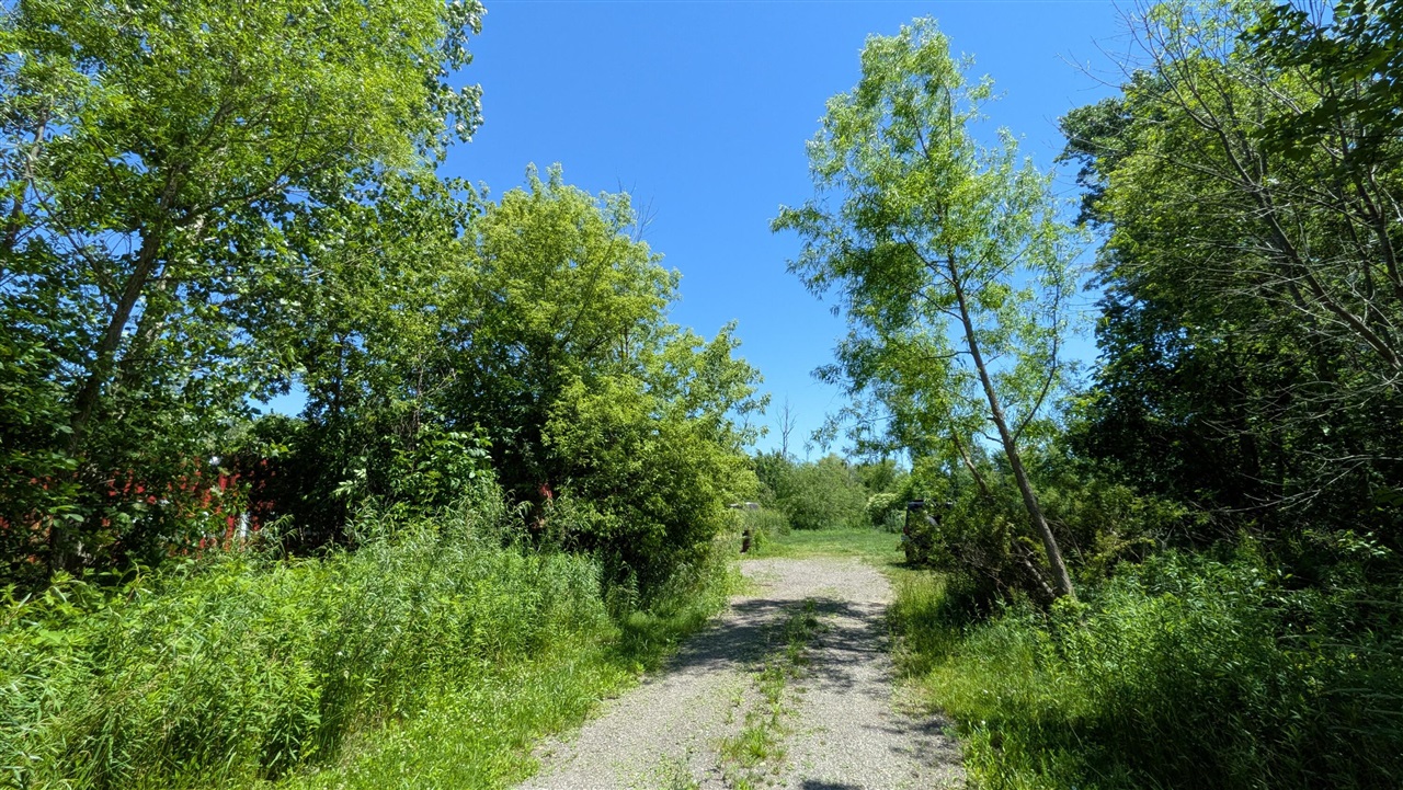 113th Avenue Property Photo 8
