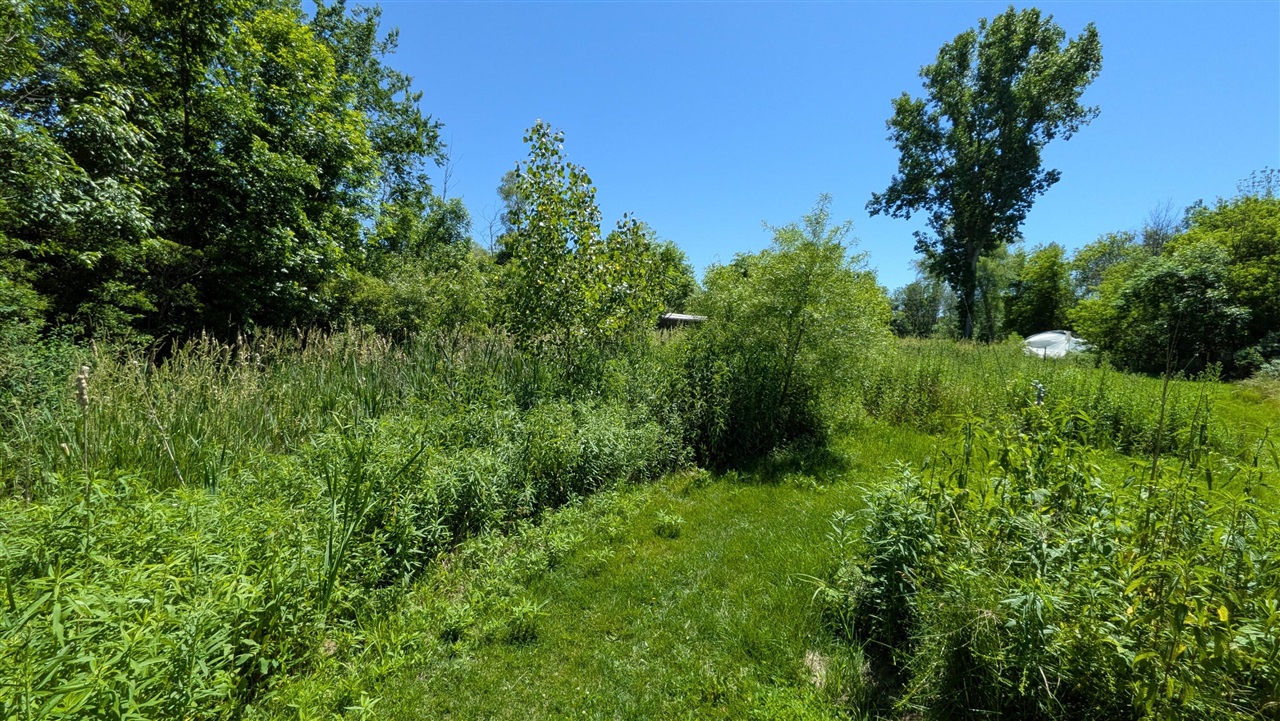 113th Avenue Property Photo 10