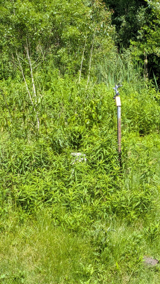 113th Avenue Property Photo 11