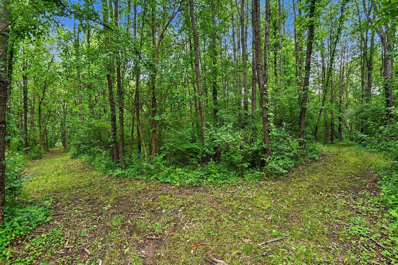 V/l Forest Shores Drive Property Photo 2