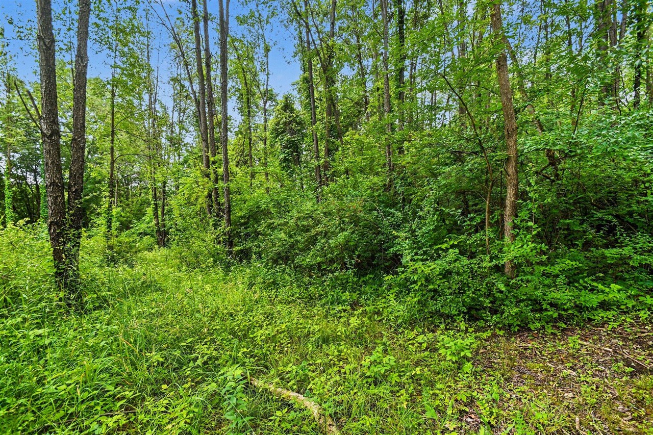 V/l Forest Shores Drive Property Photo 8