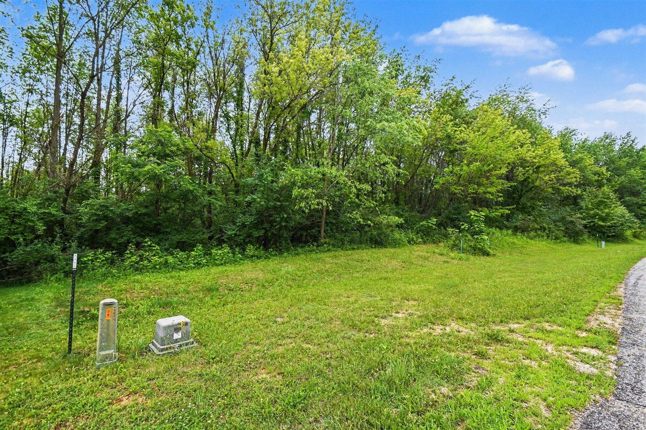 V/l Forest Shores Drive Property Photo 14