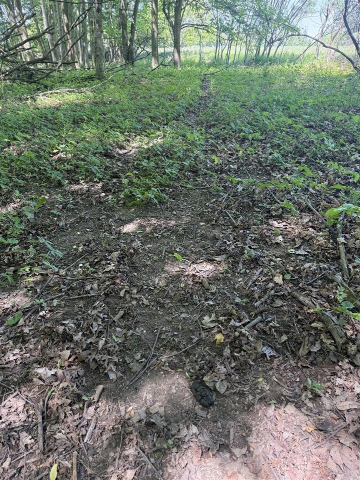 V/l 1 Hurds Corner Road Property Photo 19