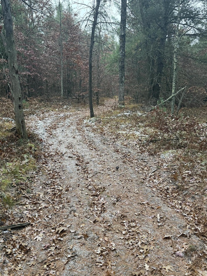 5910 S Shallow Drive Property Photo 15