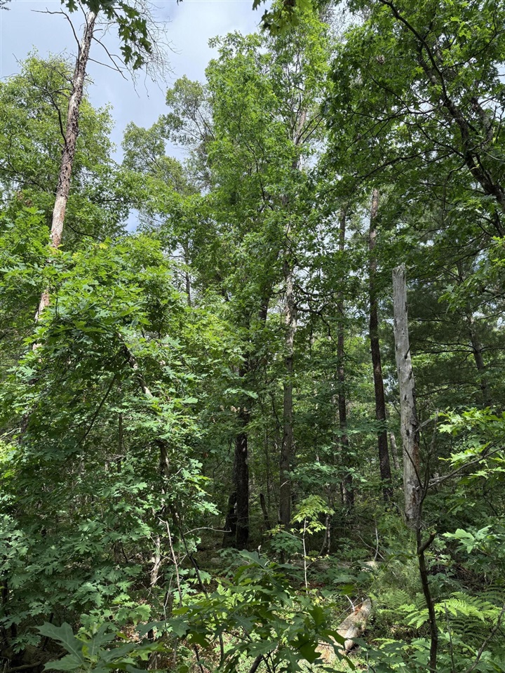 5910 S Shallow Drive Property Photo 26