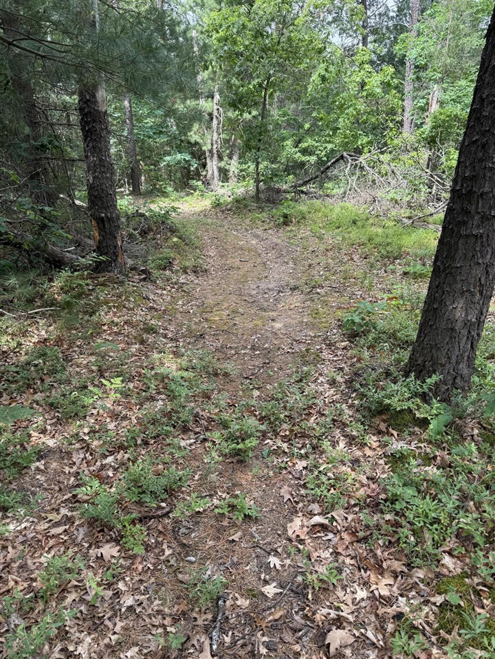 5910 S Shallow Drive Property Photo 29