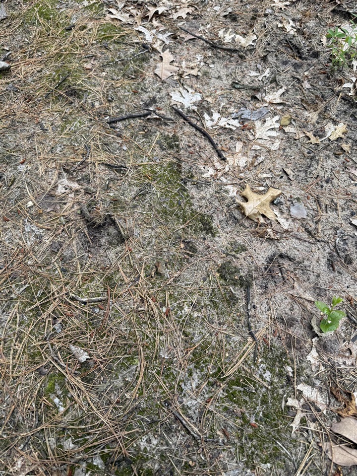 5910 S Shallow Drive Property Photo 30