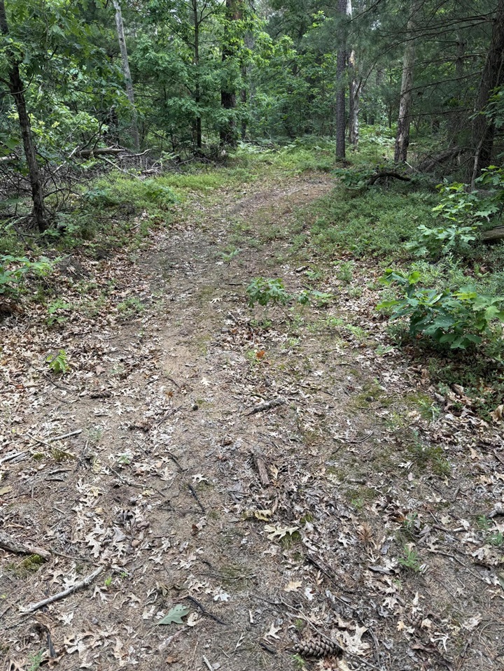 5910 S Shallow Drive Property Photo 31
