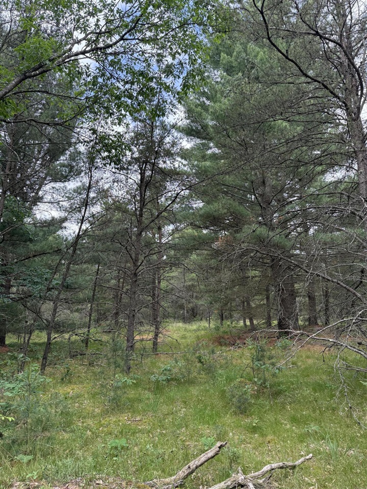 5910 S Shallow Drive Property Photo 35