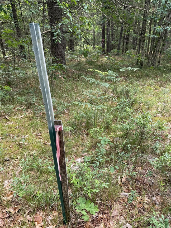 5910 S Shallow Drive Property Photo 40