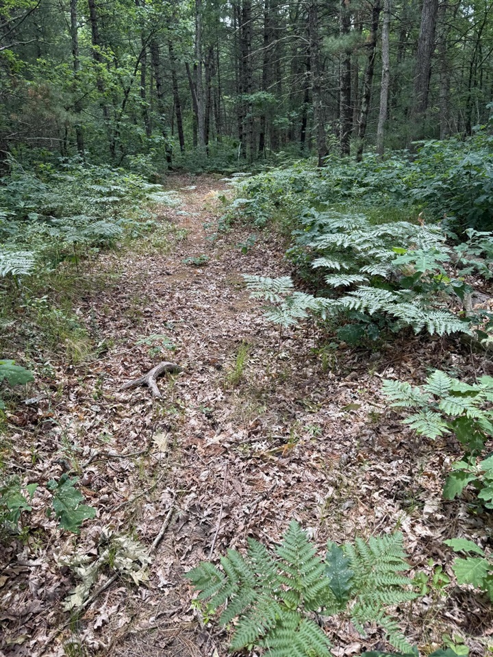 5910 S Shallow Drive Property Photo 42