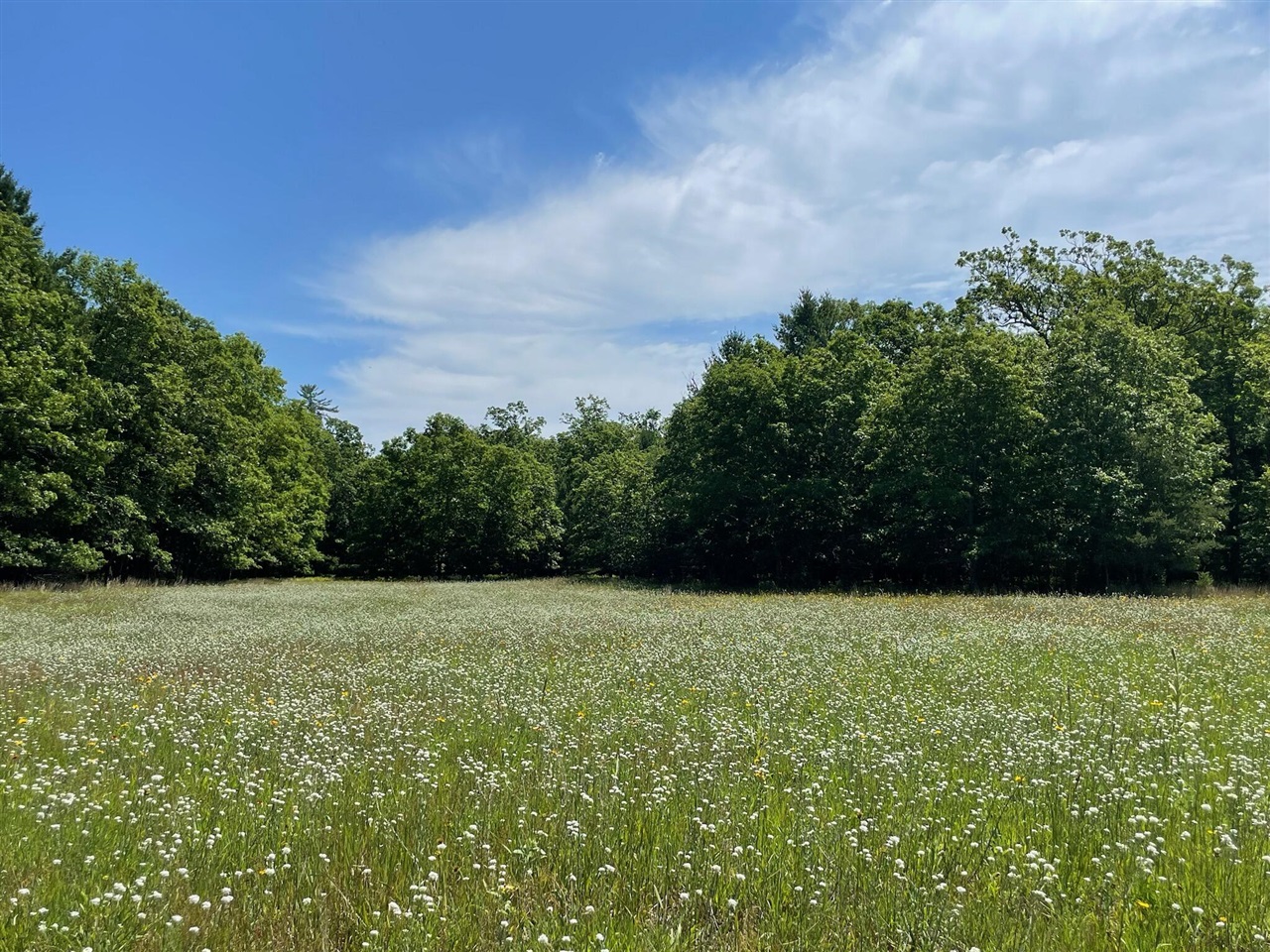 10652 N River Road Property Photo 1