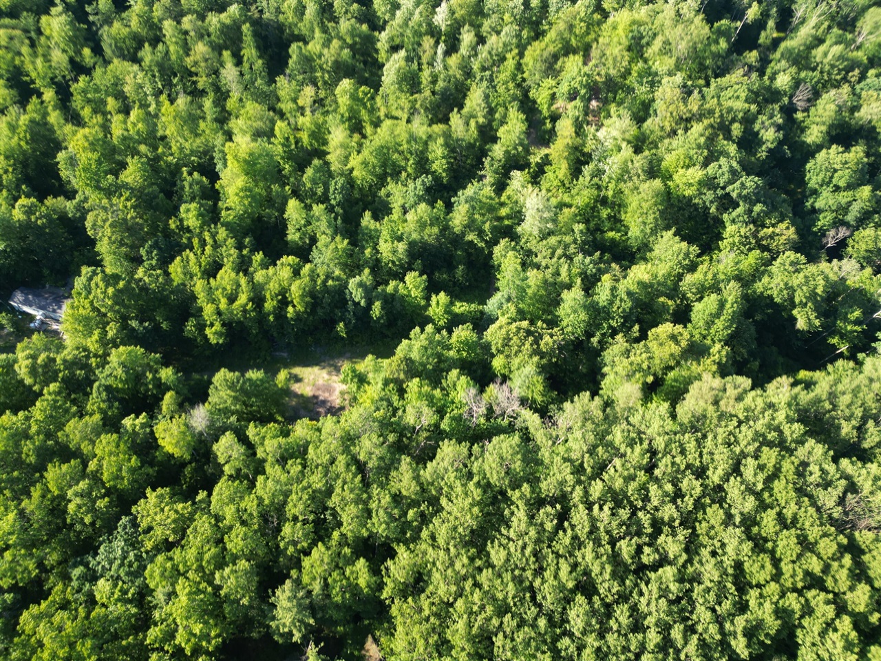 5170 Rocky Top Parcel B Lane Property Photo 1