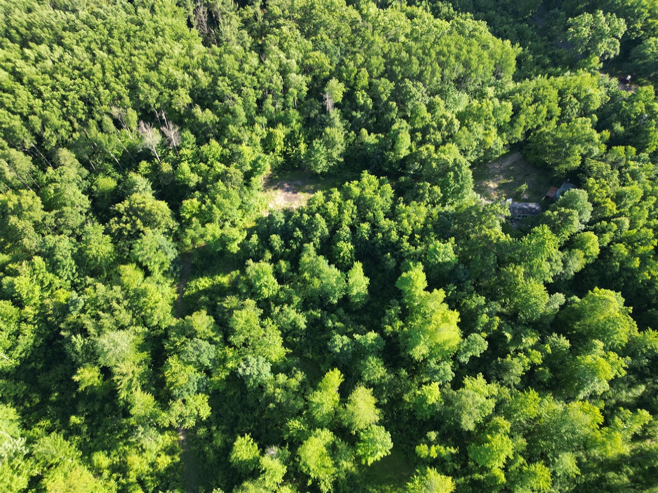 5170 Rocky Top Parcel B Lane Property Photo 2