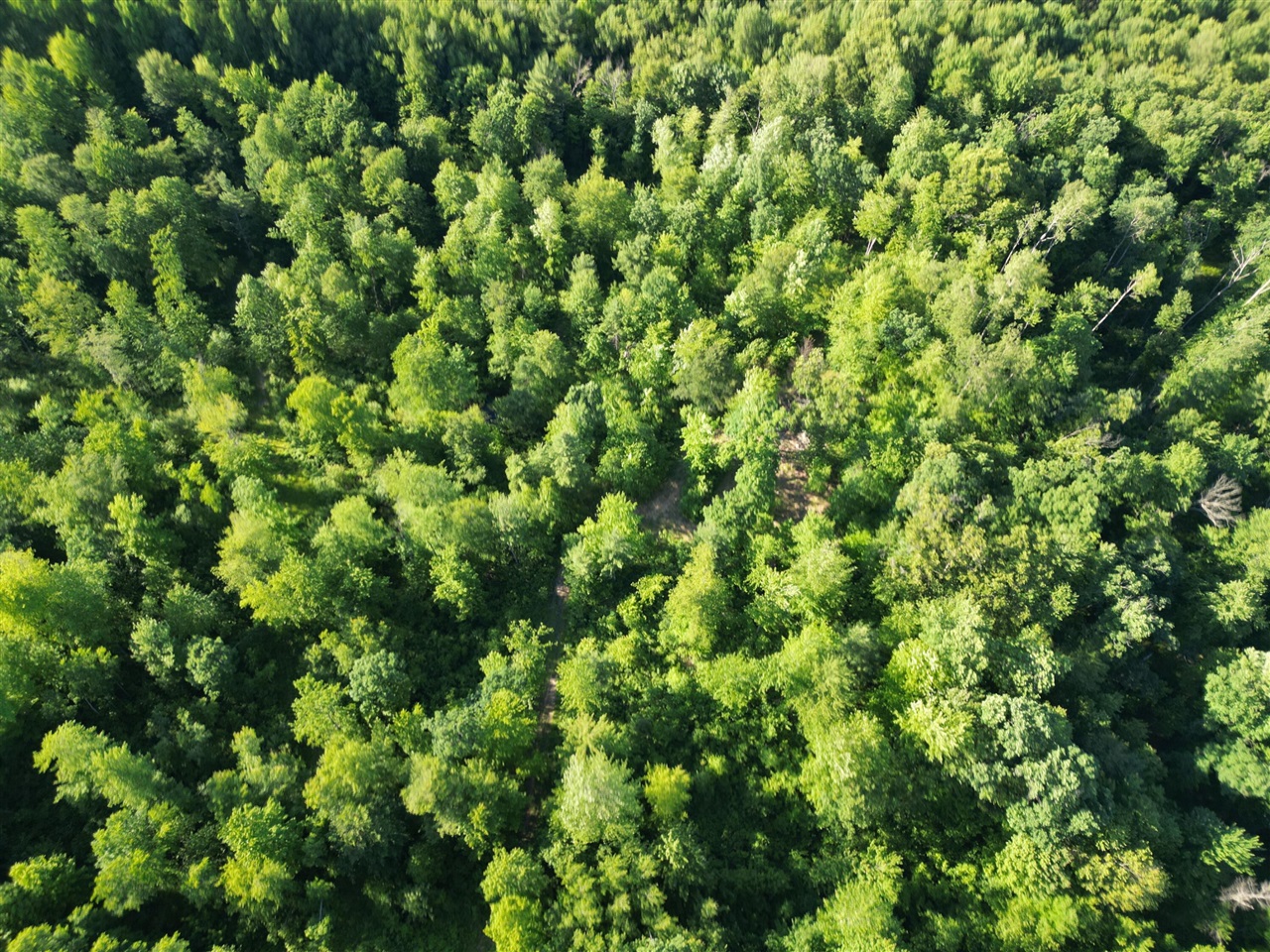 5170 Rocky Top Parcel B Lane Property Photo 3