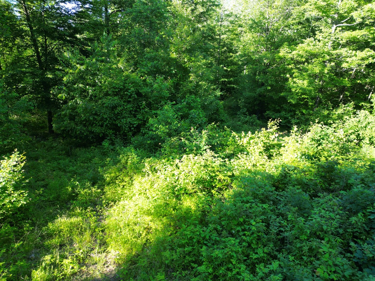5170 Rocky Top Parcel B Lane Property Photo 8