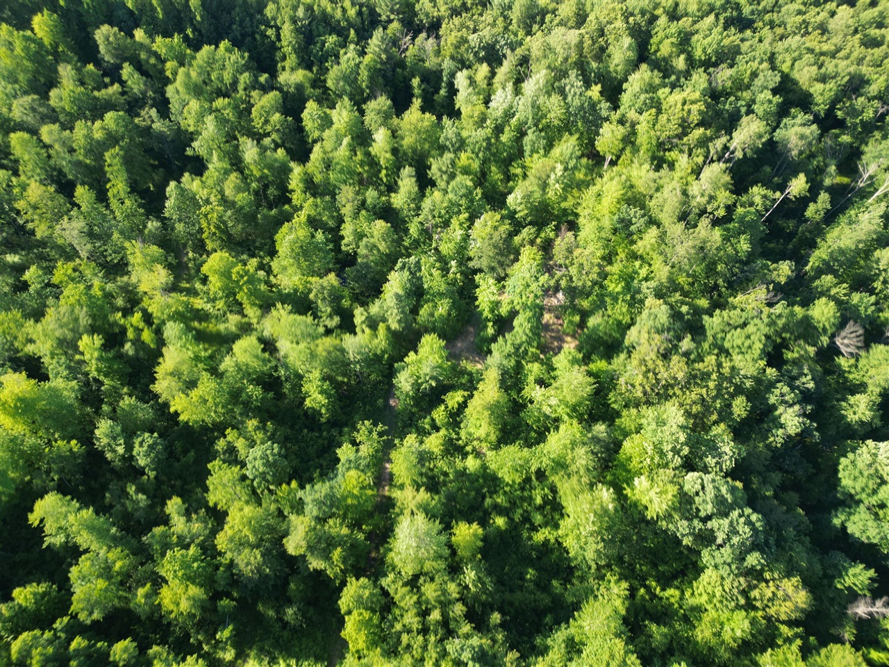 5170 Rocky Top Parcel B Lane Property Photo 9