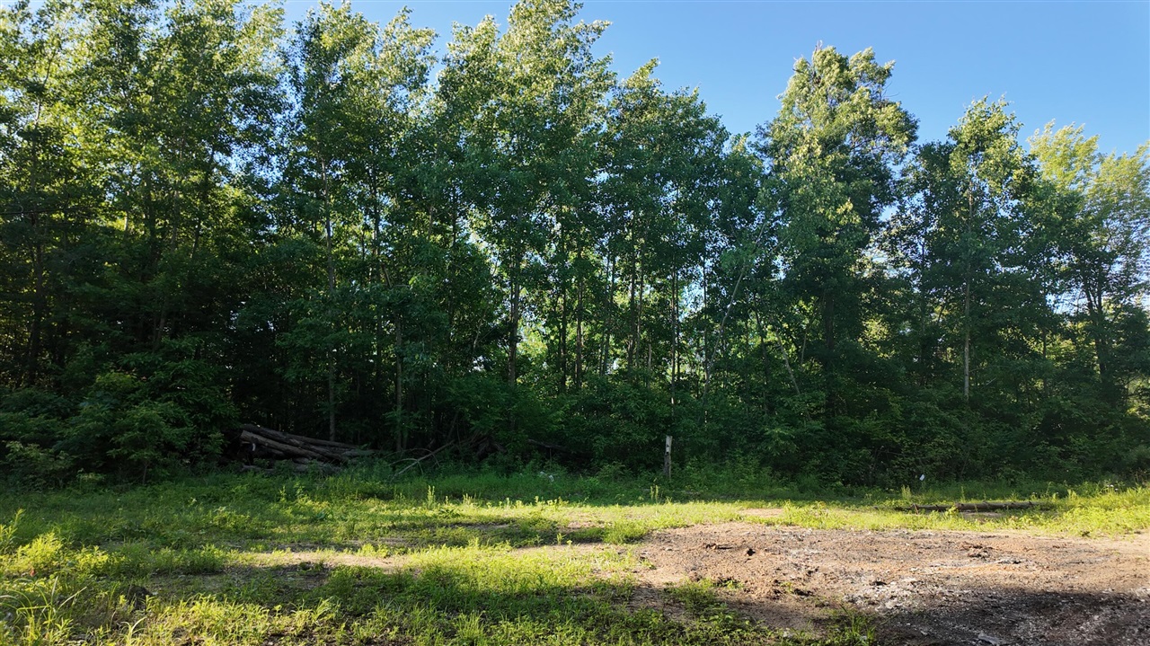 5170 Rocky Top Parcel B Lane Property Photo 13