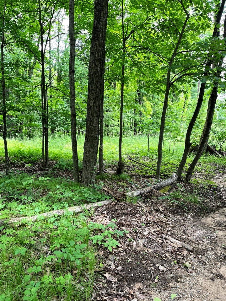00 Pierce Road Property Photo 1