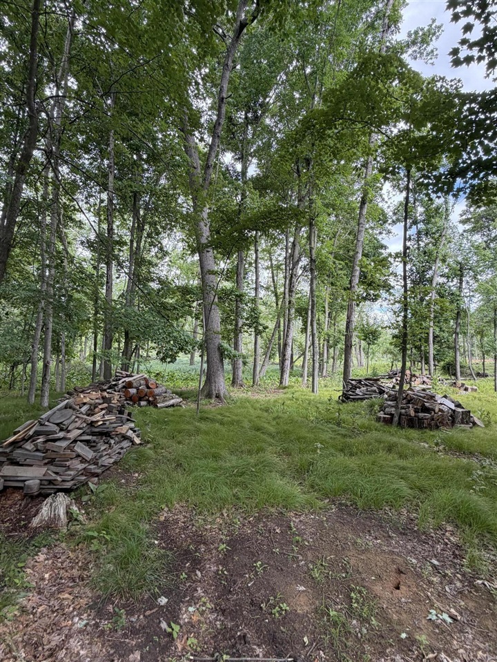4000 Woodland Road Property Photo 3
