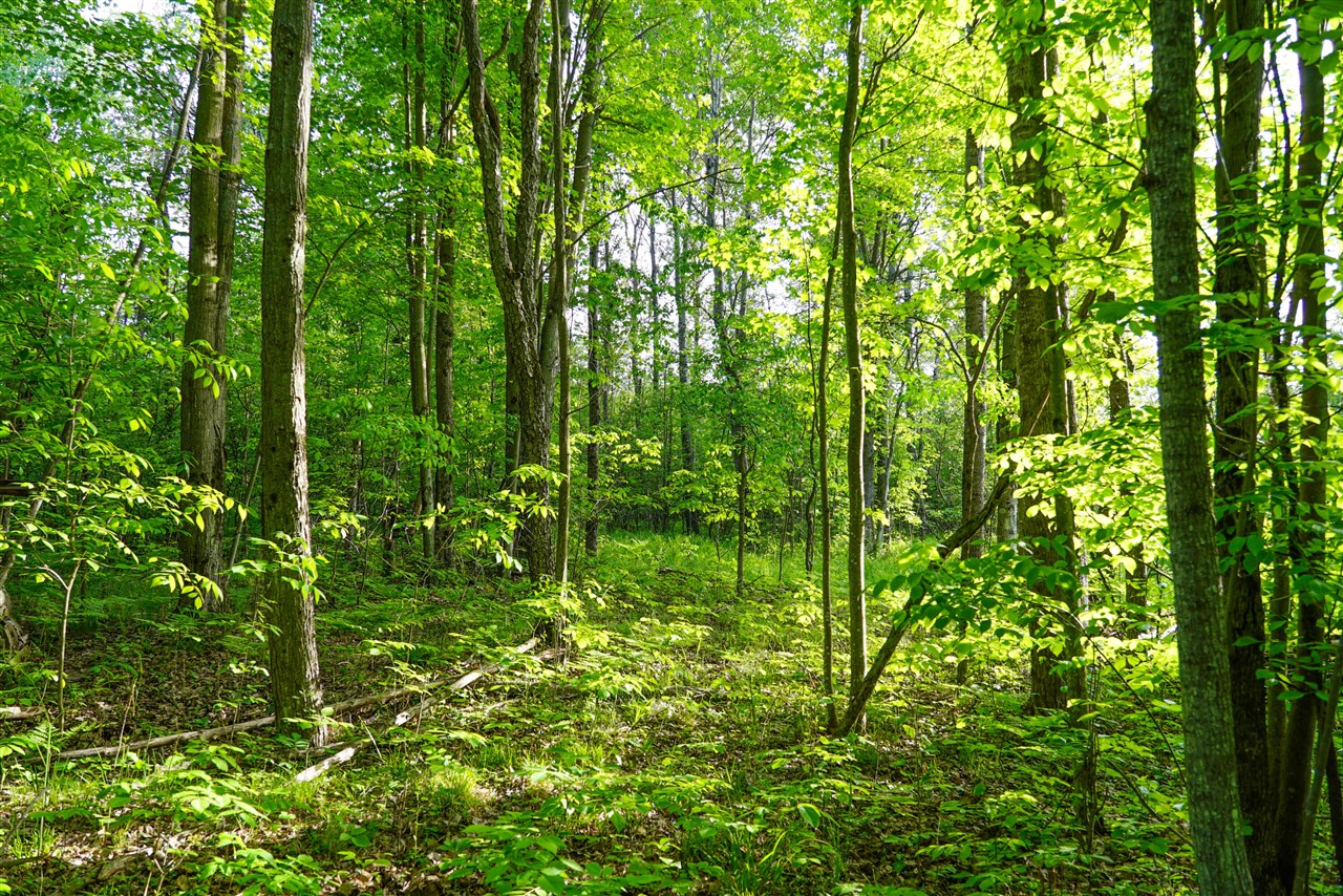 3091 E Sage Lake Property Photo 45