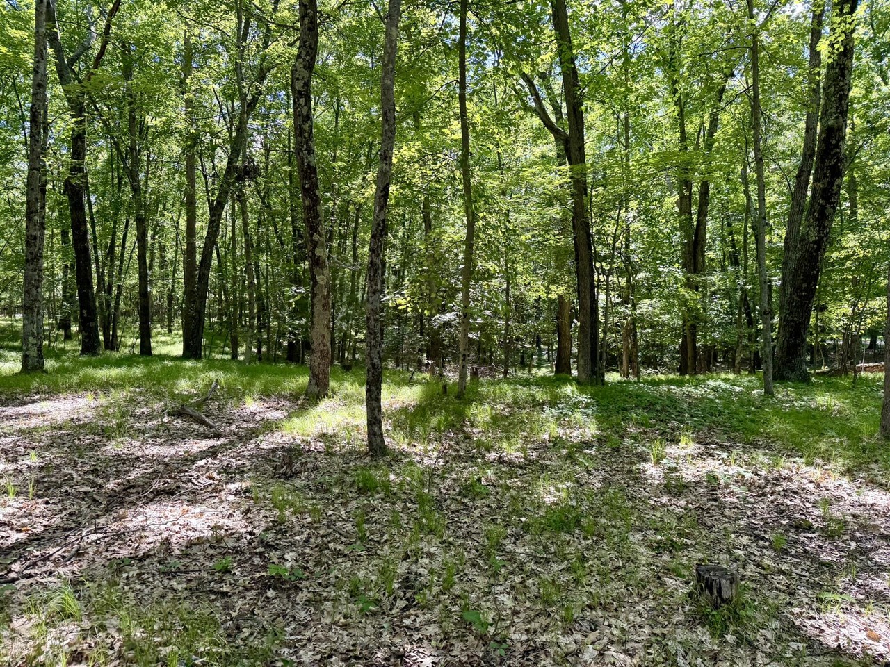 6922 W Twin Lake Drive Property Photo 42