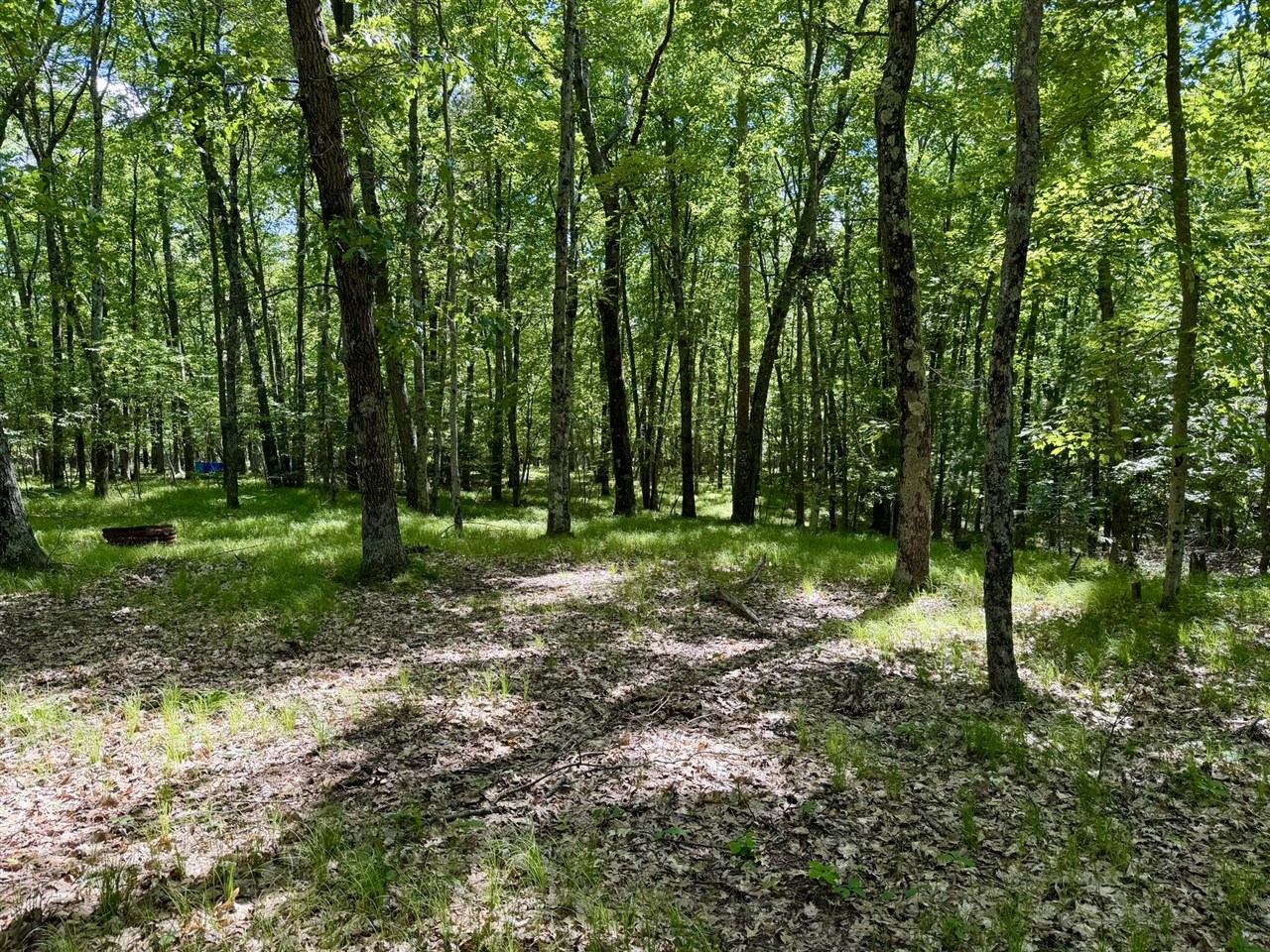 6922 W Twin Lake Drive Property Photo 43