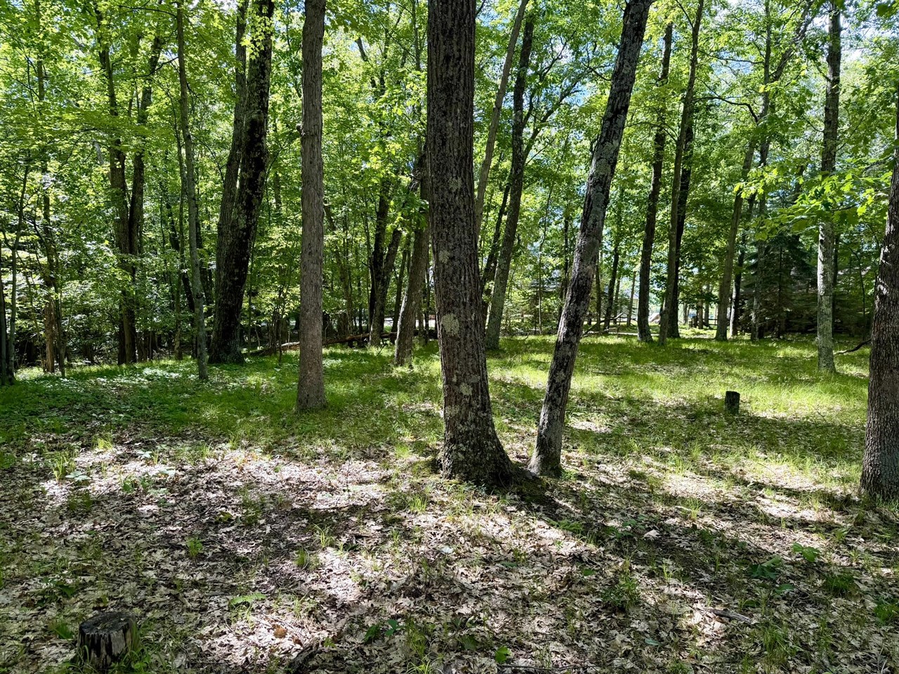 6922 W Twin Lake Drive Property Photo 44
