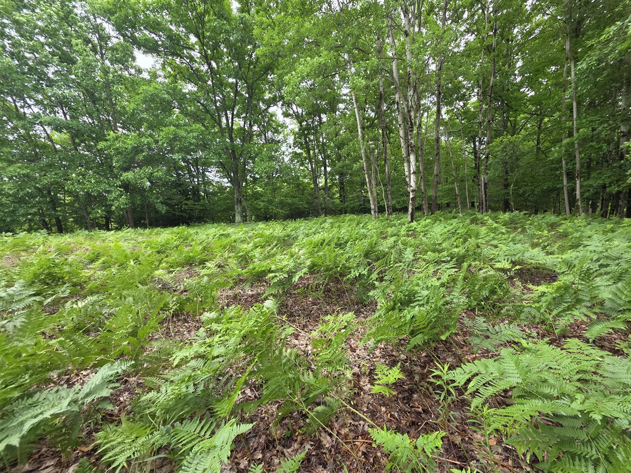 Madison Road Property Photo 2