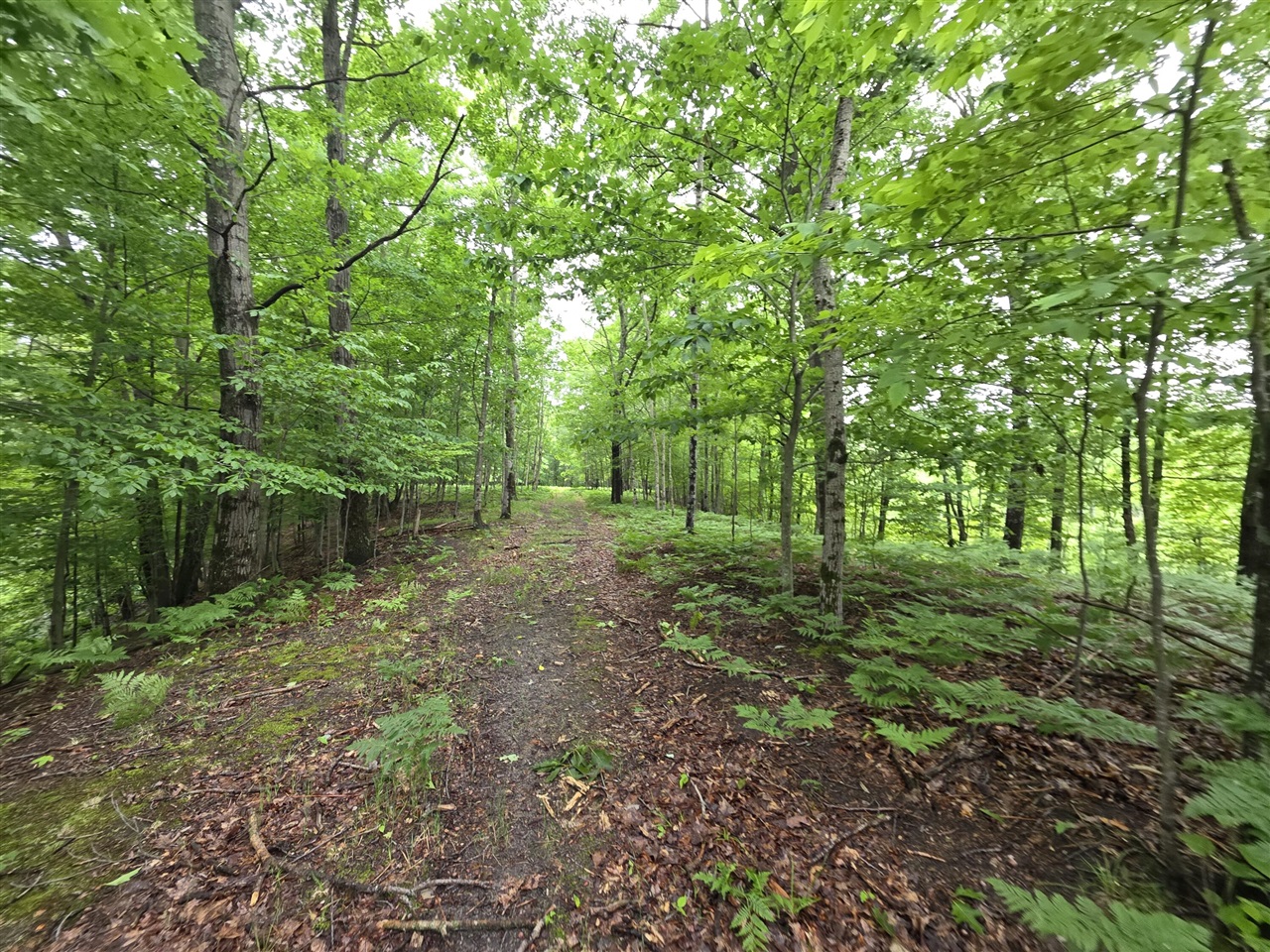 Madison Road Property Photo 3