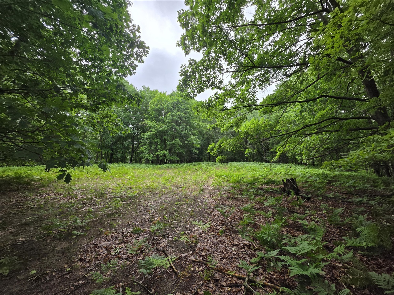 Madison Road Property Photo 4