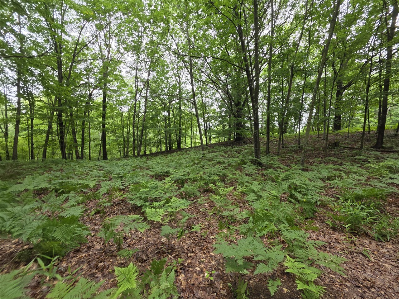 Madison Road Property Photo 9