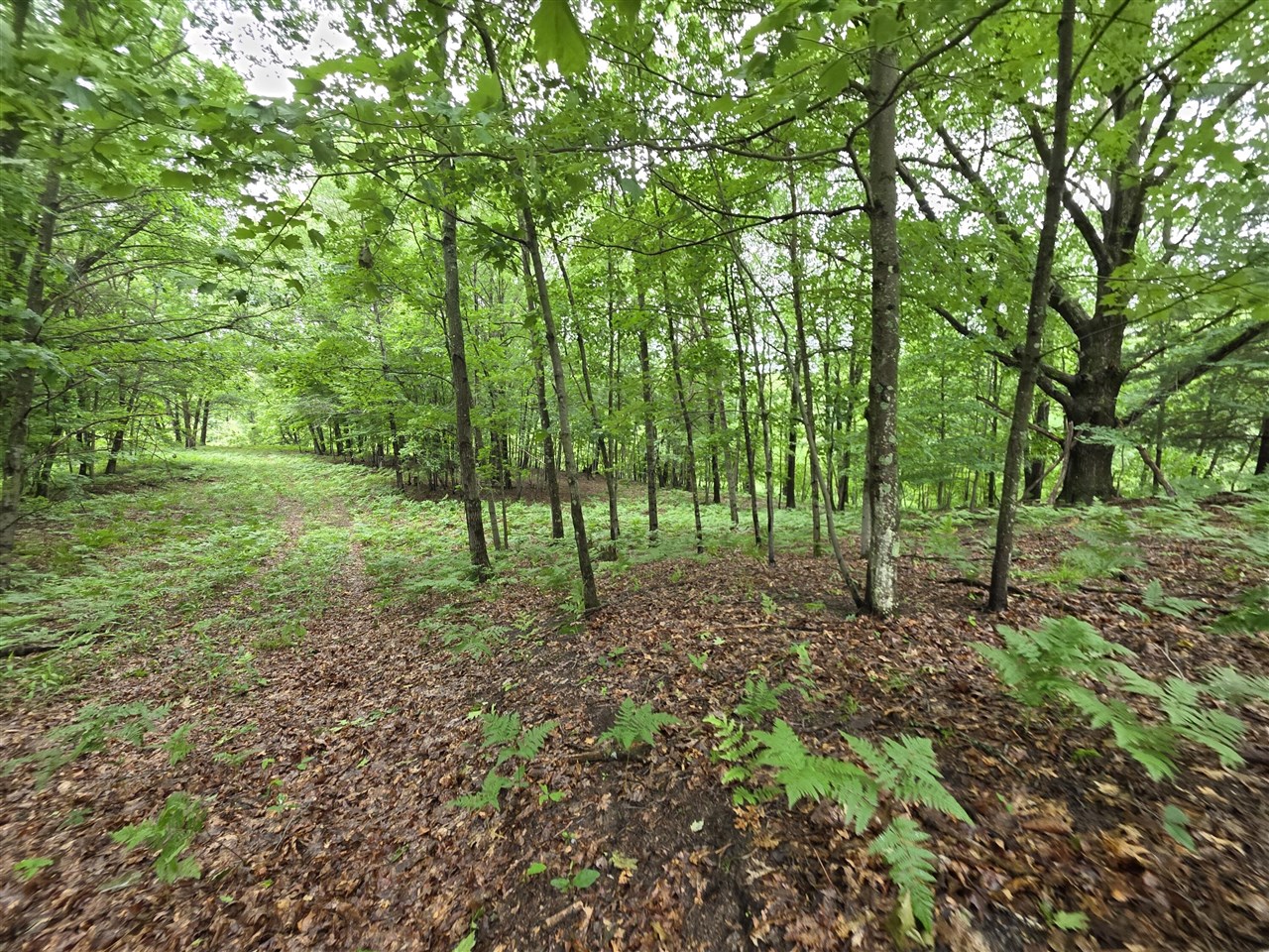 Madison Road Property Photo 16