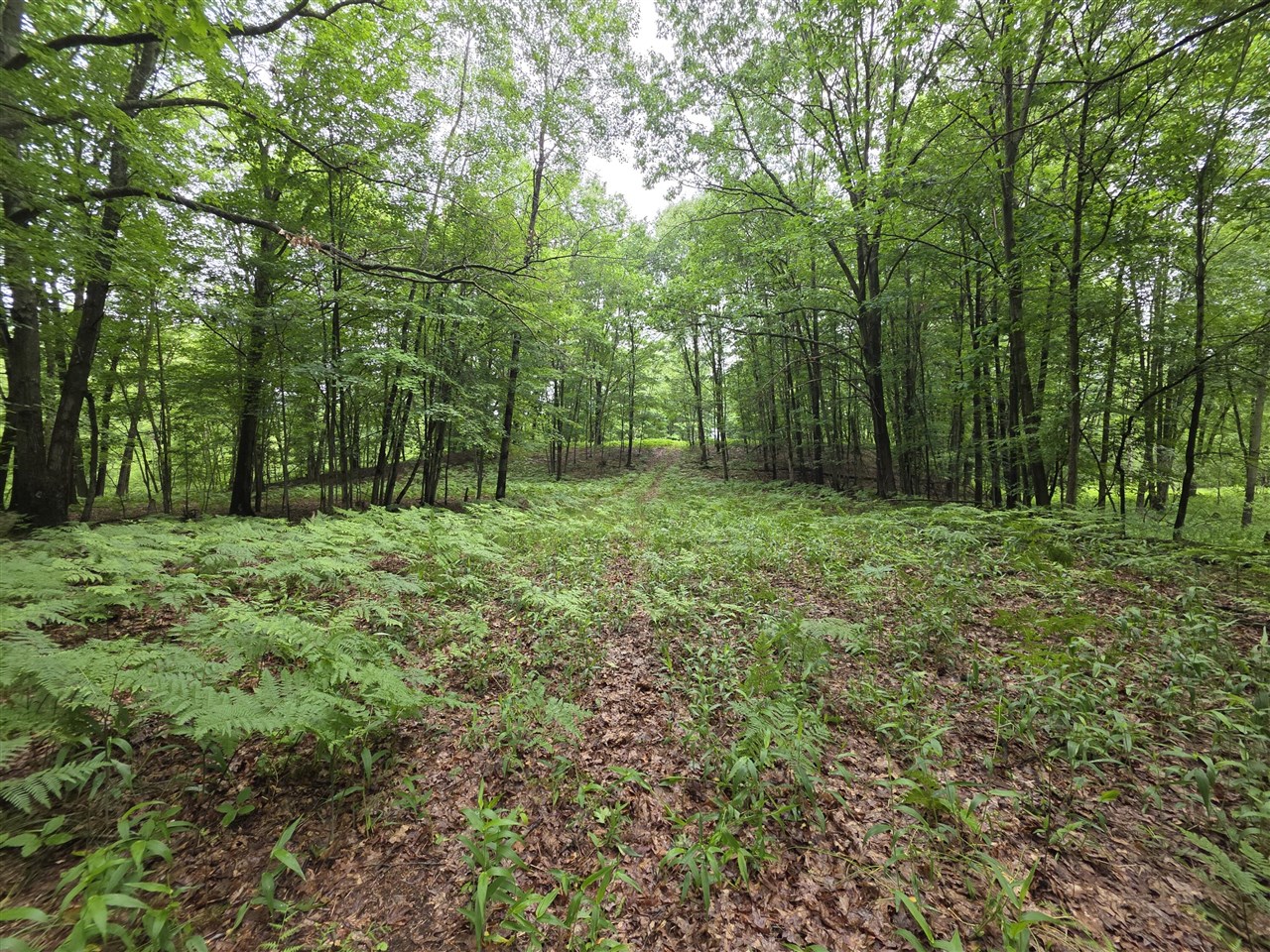 Madison Road Property Photo 18
